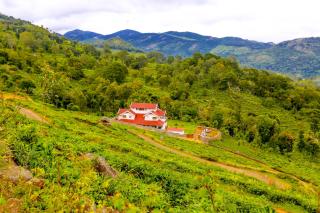 Mystique stay resort - Kotagiri - 8