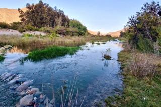 Borde rio, Eco-Cabaña Jararankhu - Vicuña - 6