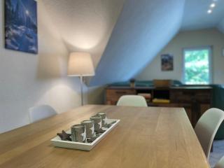 Holiday home Hexenstieg in the Harz Mountains - Elend - 1