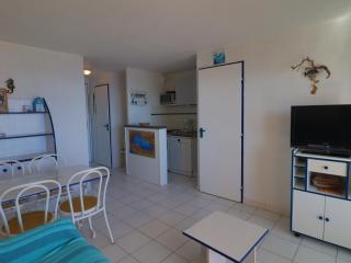 Joli T2 cabine avec terrasse face mer, parking, ascenseur, pour 5 pers - FR-1-472A-297 - Sète - 7