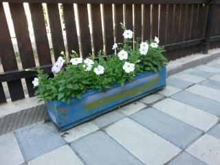 Guesthouse Mestia 32 - 1