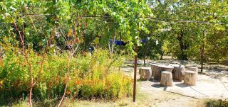 Kuldosh`s homestay in Majrum village - 3