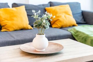 Modern Apollus Avenue - By OpenHouse apartments - Timişoara - 5