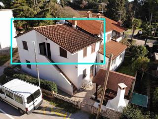 Apartments in Porec - Istrien 40038 - 1