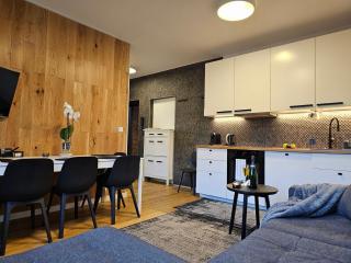 URBAN APARTMENTS Premium No 3, FREE PRIVATE PARKING, Self CHECK-IN - Chorzów - 8