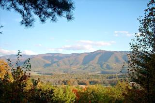 Gatlinburg Towers # 301 - Gatlinburg - 3