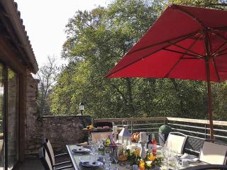 Idyllic Island Watermill Air Con Hot tub, Boat Canoe Kayak Table Tennis - Roquebrune - 8