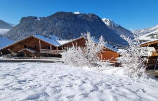 Les Chalets du Petit Châtel - Châtel - 3