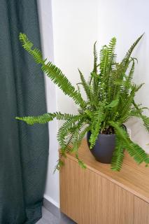 INOHO Fern Apartment - Xánthi - 4