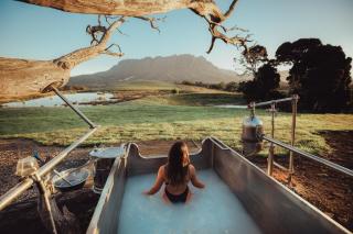 Eagles Nest Retreat - West Kentish - 6