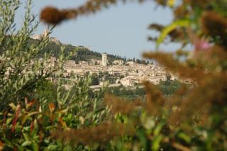 Il Podere del Falco - Asís - 6