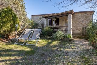 Gufo - Pitigliano - 0