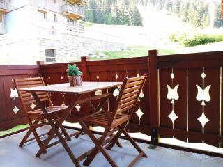 les 7 laux immobilier chalet D - Prapoutel - 0