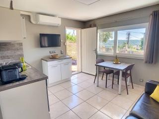 Condrieu, le Châtillon au cœur du vignoble belle vue sur vallée du Rhône - 1