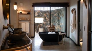 Euphorbia Mashatu - 1