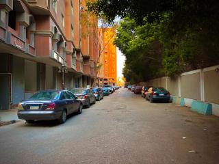 Charm Apartment Beside Nile River - Il Cairo - 9