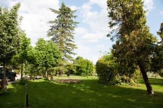 Agriturismo Villa La Morina - Cortona - 6