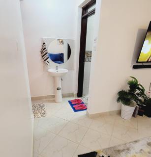 Newly Furnished 1-bedroom - Nairobi - 9