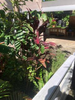 Villa Tikoinjoli - 2