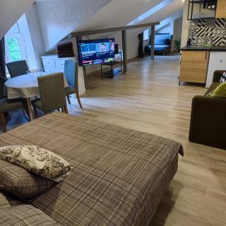 Livu Studio Apartments - Ventspils - 1