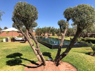 Villa privée dans un environnement idyllique - Marrakesh - 6