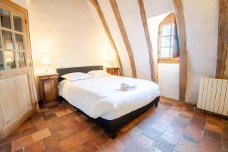16th century hunting lodge - Château de Nitray - Athée-sur-Cher - 4