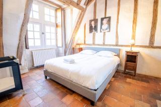 16th century hunting lodge - Château de Nitray - Athée-sur-Cher - 5