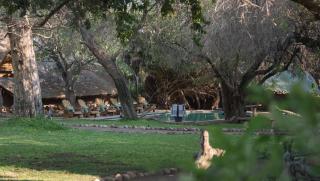 Mashatu Lodge - Lentswelemoriti - 4