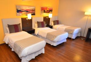 Hotel Bicentenario Suites & Spa - San Miguel de Tucumán - 3