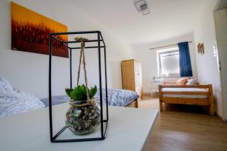 Chalet Nordwald - - 8