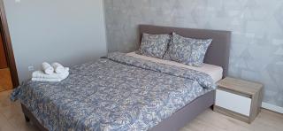 Rent Apartment Pushkin Street - Chişinău - 8
