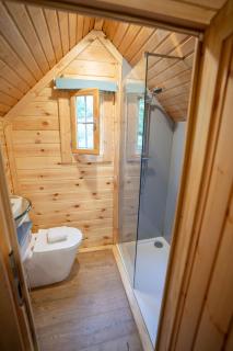 Pine Tree House with Hot tub & Sauna - Barmouth - 5