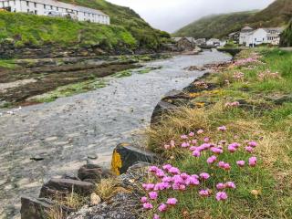 The Riverside - Boscastle - 6