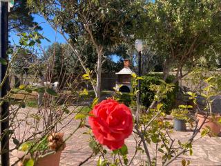 Frida`s Apartments - Agios Georgios - 8