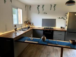 Jolie petite maison à la campagne - Le Moule - 9