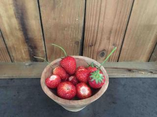 Bij Leentjer geheel appartement -  - 2