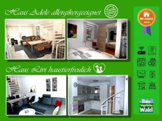 Ferienhaus Adele - Zandt - 0