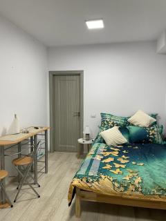 Studio - Suceava - 4
