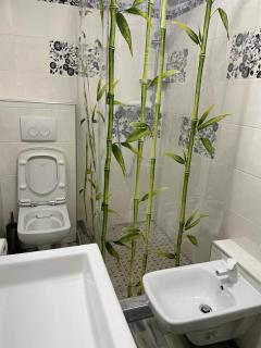 Studio nr 1 confort - 1