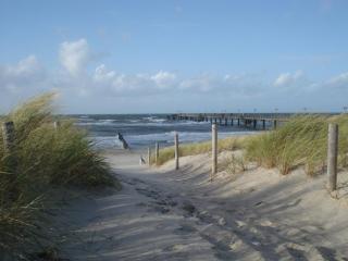 Haus Malta - Strandstraße - Müritz - 4