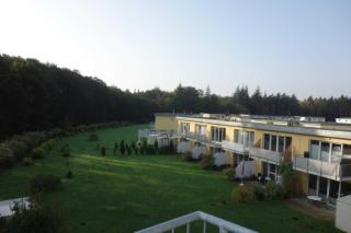 Küstenwald - Ferienwohnung Kranichnest - Müritz - 8