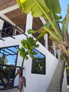 Sand Beach Boutique Villas - Bwejuu - 5