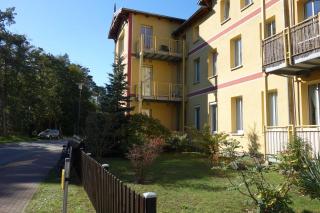 Ostseekrabbe 19 - 9