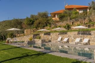 Villa Chicchi - Sestri Levante - Sestri Levante - 4