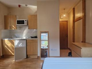 Bright studio apartment Highgate - London - 1