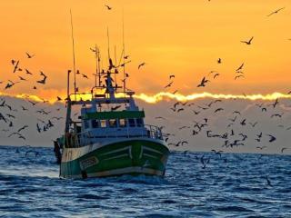 Appartement 2 pièces avec terrasse - FR-1-307-237 - 1