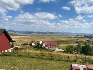 Lasica - Žabljak - 3