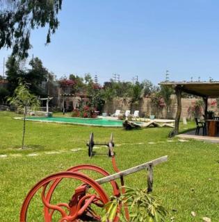 Alquiler Casa Campo Ica - Ronceros Bajo - 6