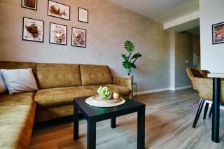 Apartamenty Laguna Beskidów - A67 - Zarzecze - 7