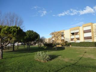 Studio cabine avec terrasse, à 550m de la plage et 100m des commerces, idéal 4 pers., animaux acceptés - FR-1-307-156 - Le Grau-du-Roi - 5